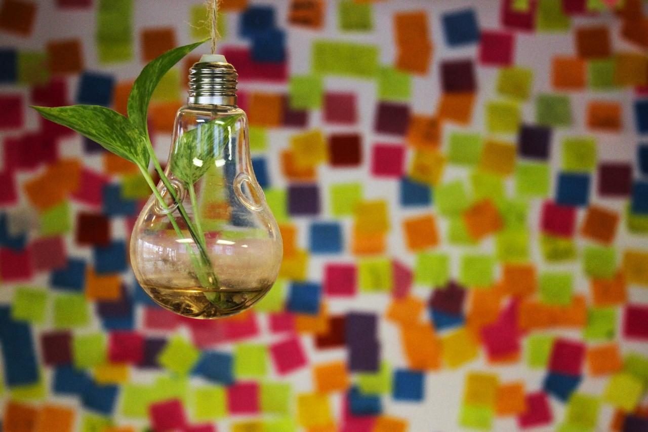A glass light bulb holding a green plant in front of a wall of colourful sticky notes